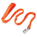 Nylon-Hundeleine, elastisch – Bild 5 | LuxeStyle