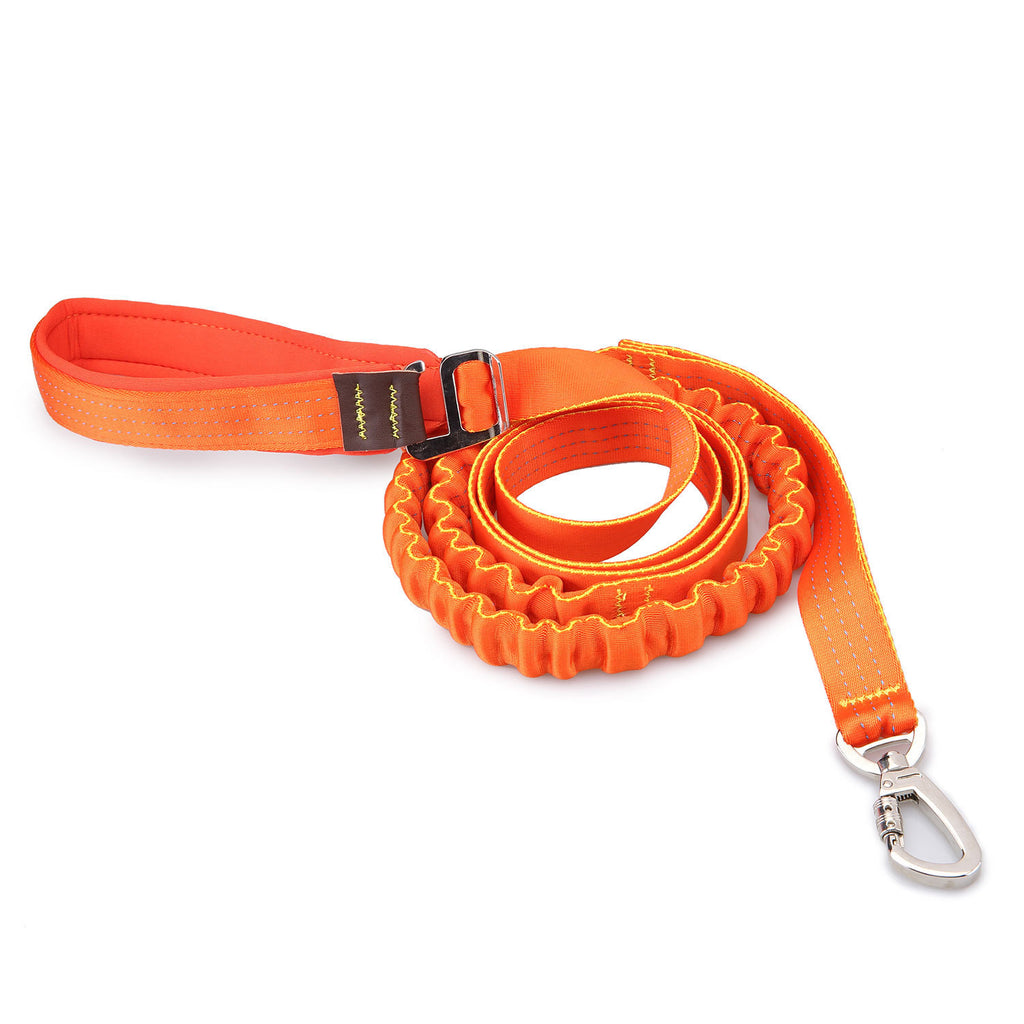 Nylon-Hundeleine, elastisch – Bild 3 | LuxeStyle