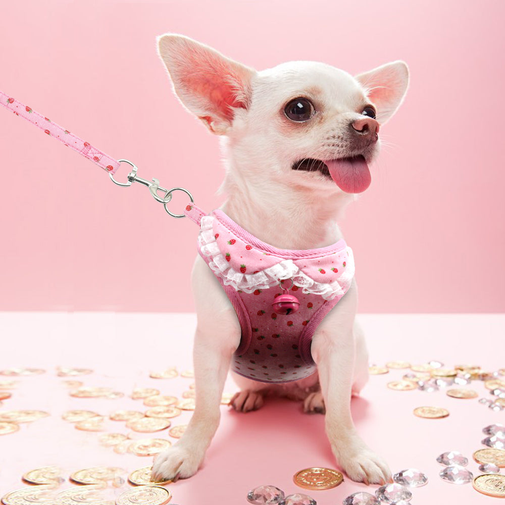 Hals- und Brustgurt mit Glocke für kleine Hunde – Bild 2 | LuxeStyle