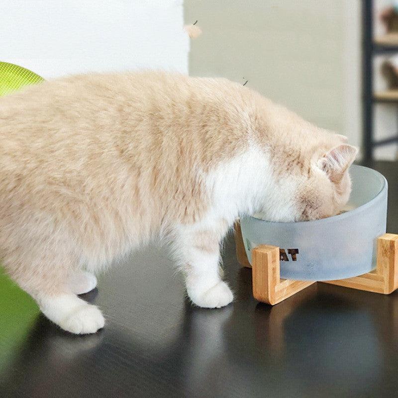 Schräge Glasfutterschale für Katze & Hund – Bild 6 | LuxeStyle