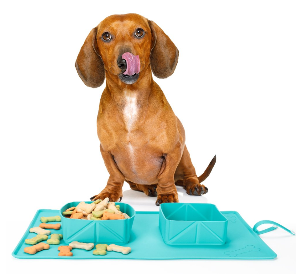 Faltbarer Reisenapf für Hunde und Katzen – Bild 7 | LuxeStyle