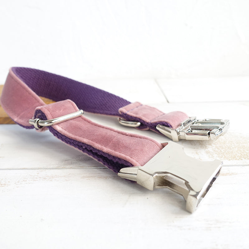 Halsband für Hunde (Pink-Violett) – Bild 5 | LuxeStyle