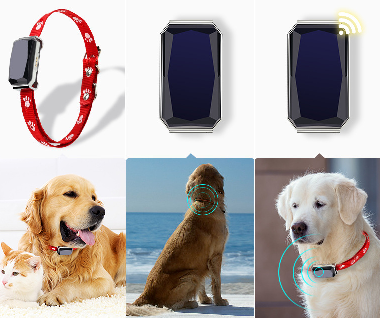 Beidou GPS Haustierhalsband – Bild 2 | LuxeStyle