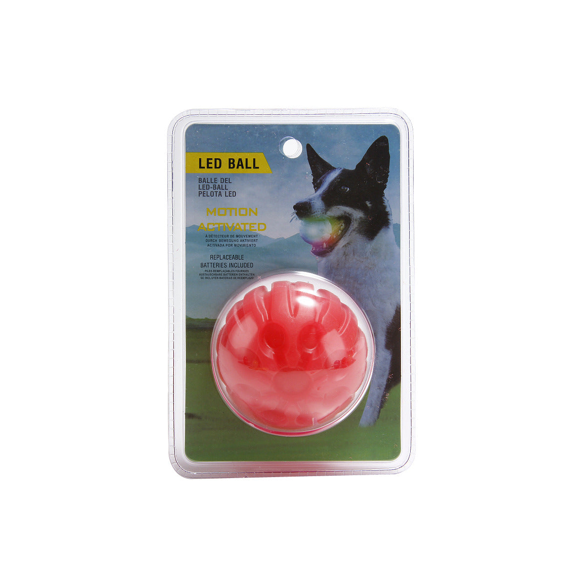 Leuchtender Beissball für Hunde – Bild 5 | LuxeStyle