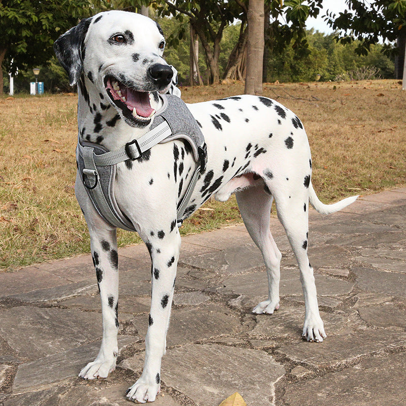 Reflektierender Brustgurt für Hunde – Bild 2 | LuxeStyle
