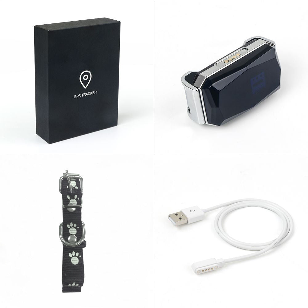 GPS Tracker für Haustiere