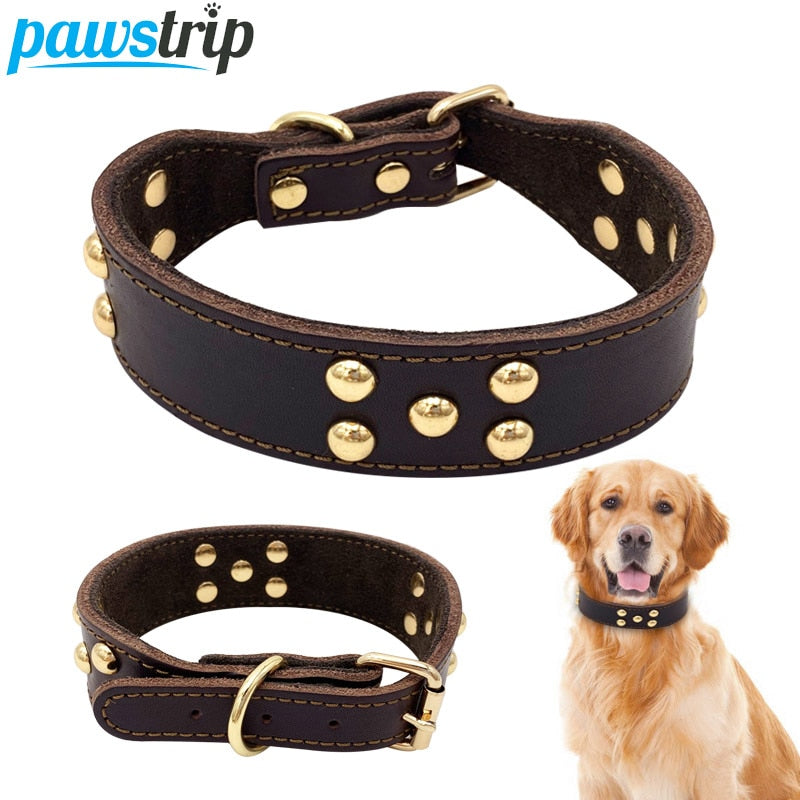 Hundehalsband verstellbar – 3 Grössen | LuxeStyle