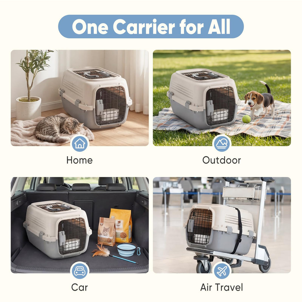 Pet Carrier Detail