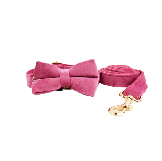 Samtiges Haustierhalsband mit Leine – Bild 1 | LuxeStyle