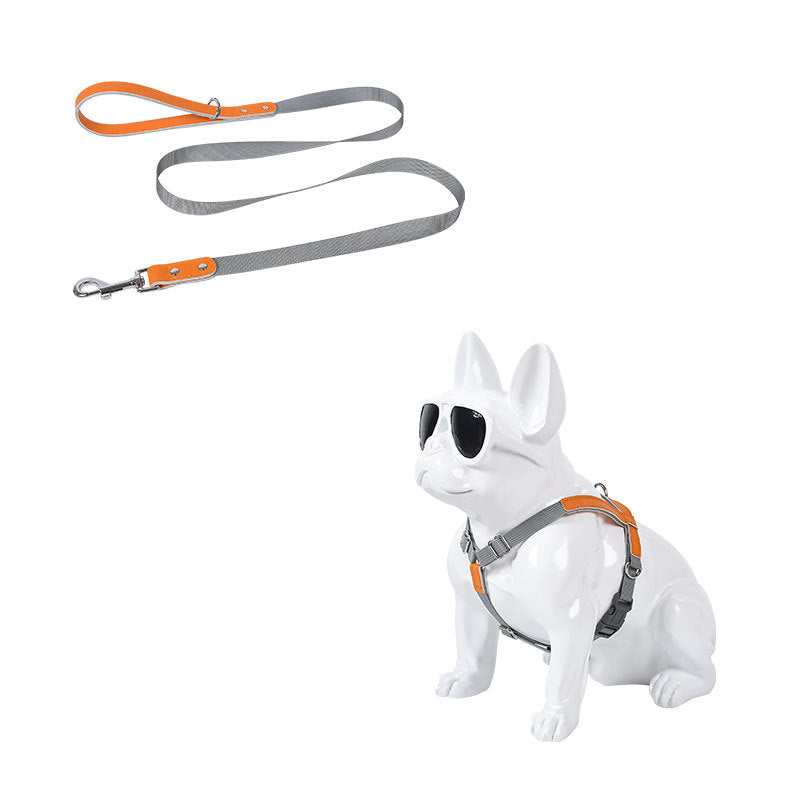 Hundegeschirr aus Leder mit Nylonleine – Bild 13 | LuxeStyle