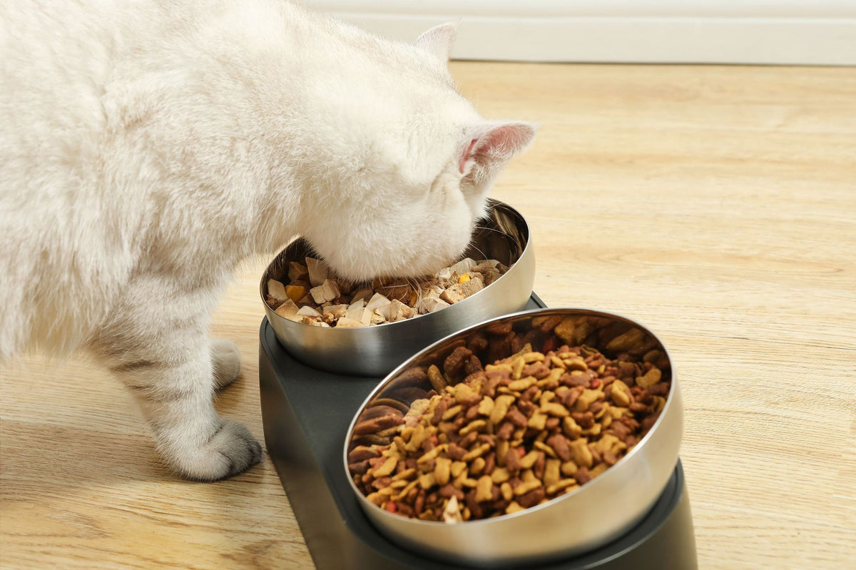 Fressnapf für Katzen und Hunde – Bild 10 | LuxeStyle