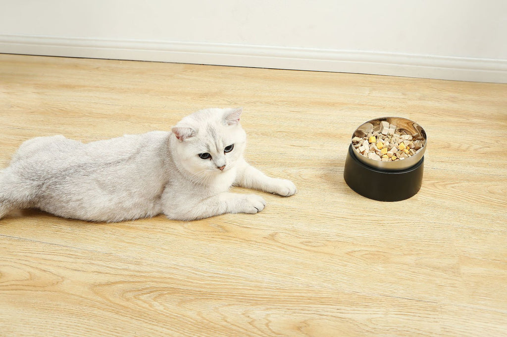 Fressnapf für Katzen und Hunde | LuxeStyle
