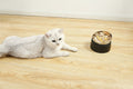 Fressnapf für Katzen und Hunde | LuxeStyle