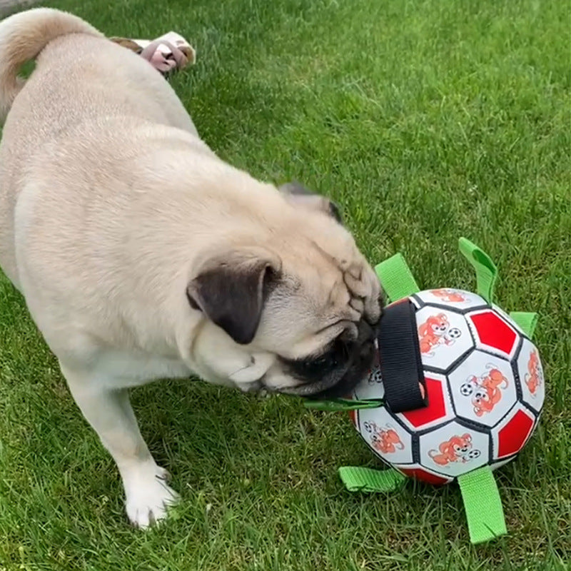 Fussball-Spielzeug für Hunde – Bild 10 | LuxeStyle