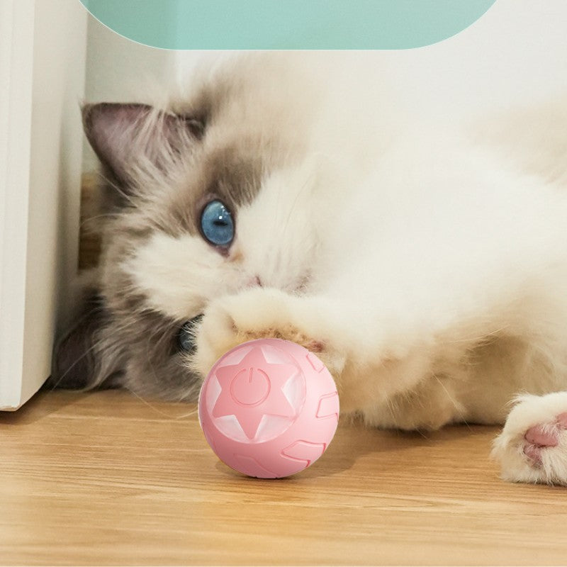 XINGX Rolling Ball Katzenspielzeug – Bild 12 | LuxeStyle