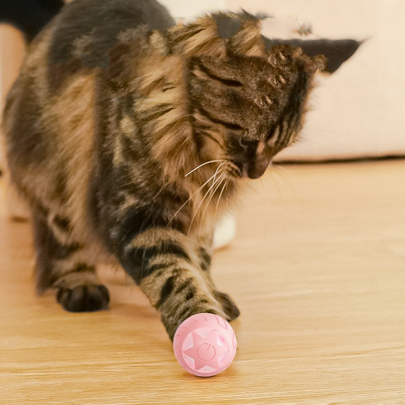 XINGX Rolling Ball Katzenspielzeug – Bild 1 | LuxeStyle