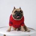Wolle Hundetrainer Pullover Herbst & Winter Rot | LuxeStyle