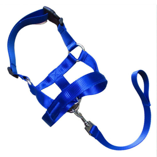 Maulkorb aus Nylon für Hunde | LuxeStyle