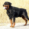 Taktisches Nylon-Brustgeschirr für Hunde – Bild 3 | LuxeStyle