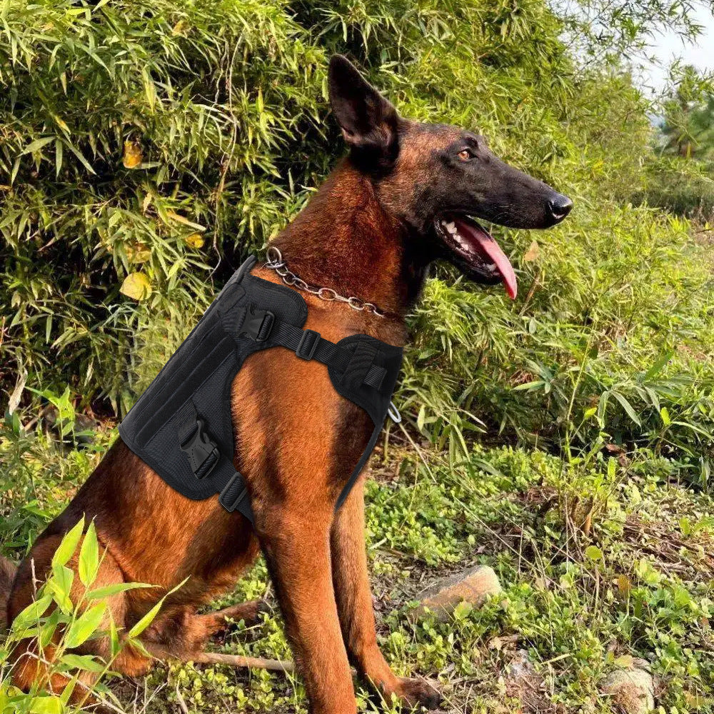 Taktisches Nylon-Brustgeschirr für Hunde – Bild 15 | LuxeStyle