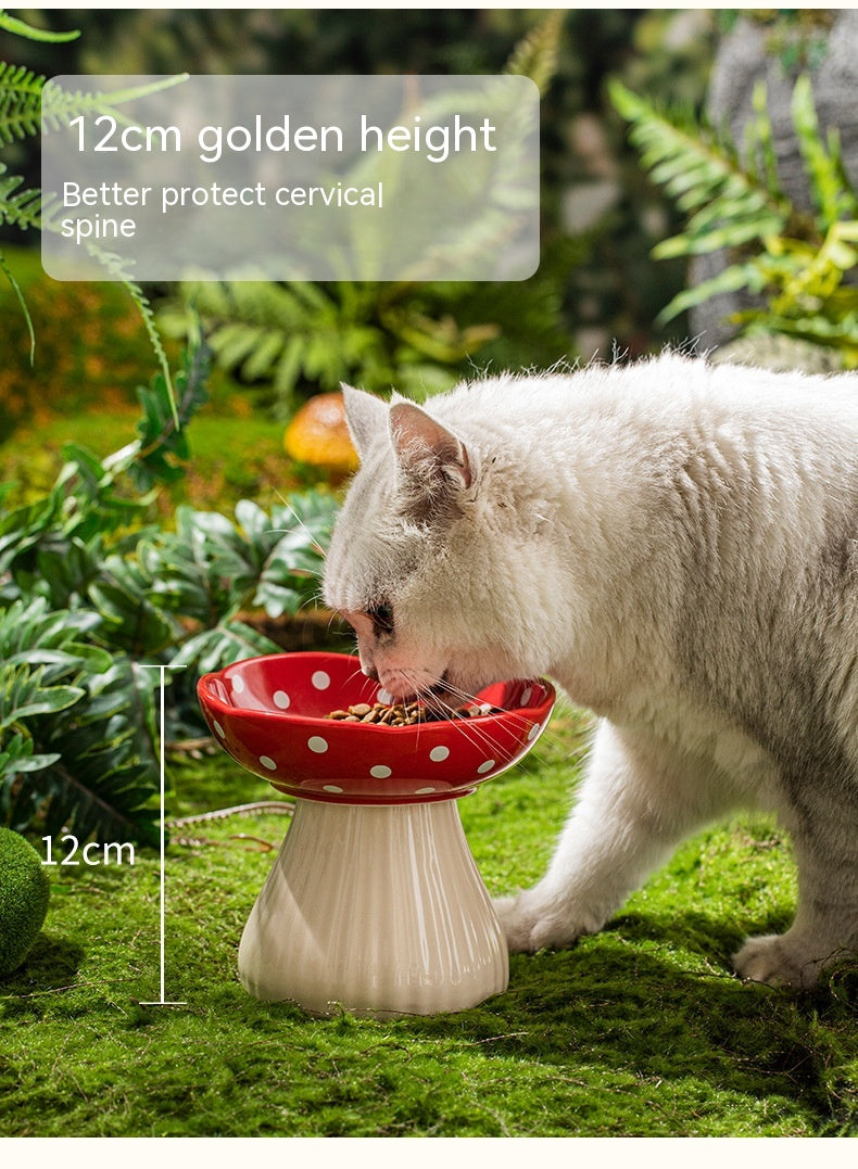 Keramik Futternapf für Katzen mit hohem Fuss – Bild 9 | LuxeStyle