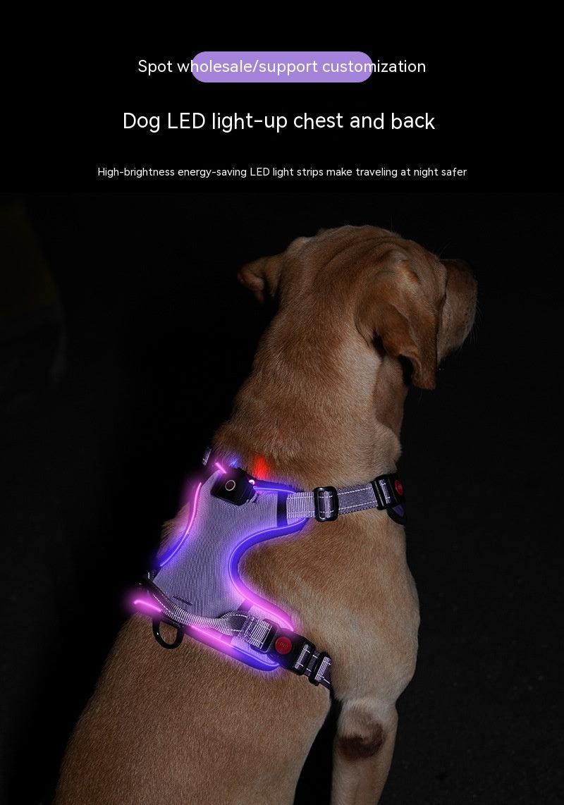 USB Wiederaufladbares Leuchtgeschirr für Hunde – Bild 16 | LuxeStyle
