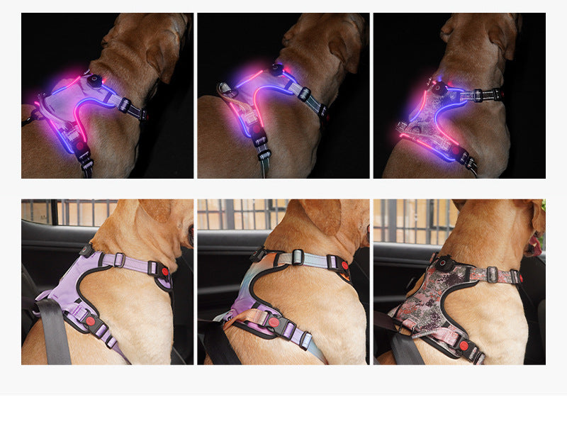 USB Wiederaufladbares Leuchtgeschirr für Hunde – Bild 8 | LuxeStyle