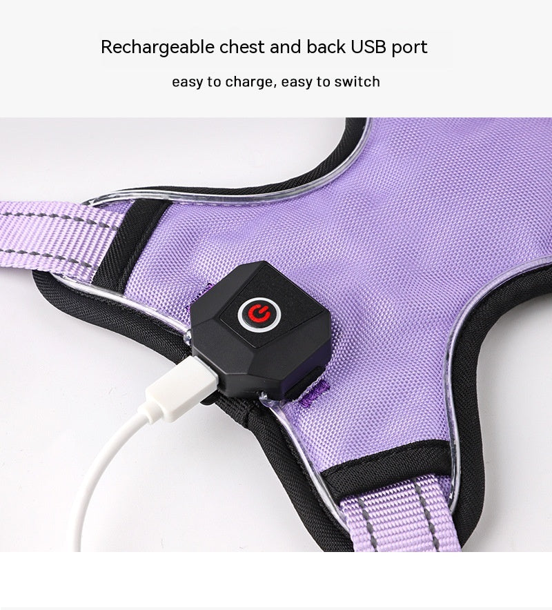USB Wiederaufladbares Leuchtgeschirr für Hunde – Bild 14 | LuxeStyle