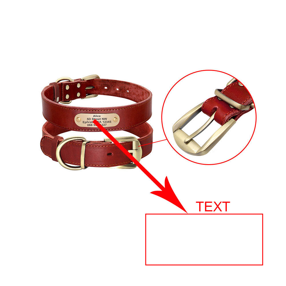 Personalisiertes Hundehalsband mit ID-Tag – Bild 4 | LuxeStyle