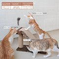 Nachfüllbares Katzen-Kratzbrett mit Wellpappe