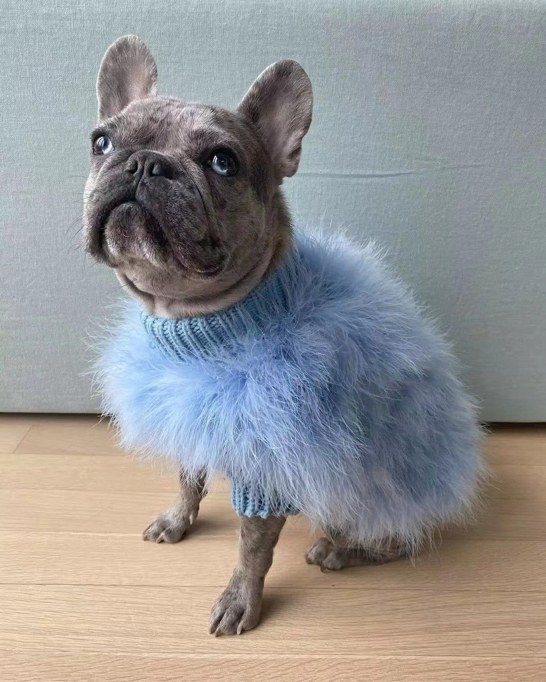 Wolle-Pullover für Hunde und Katzen – Pink/Blau – Bild 9 | LuxeStyle