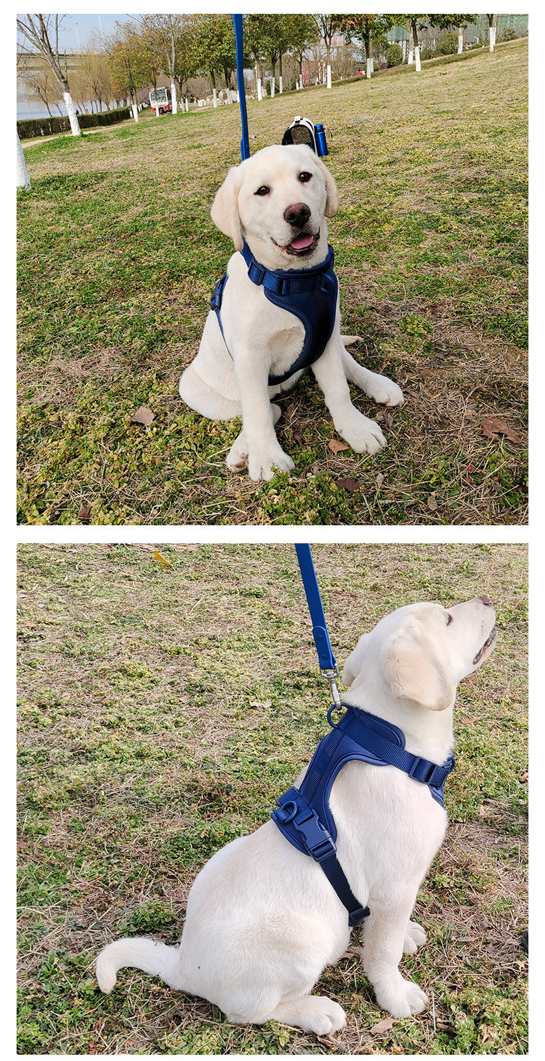 Hunde-Zugweste atmungsaktiv, reissfest – Bild 11 | LuxeStyle