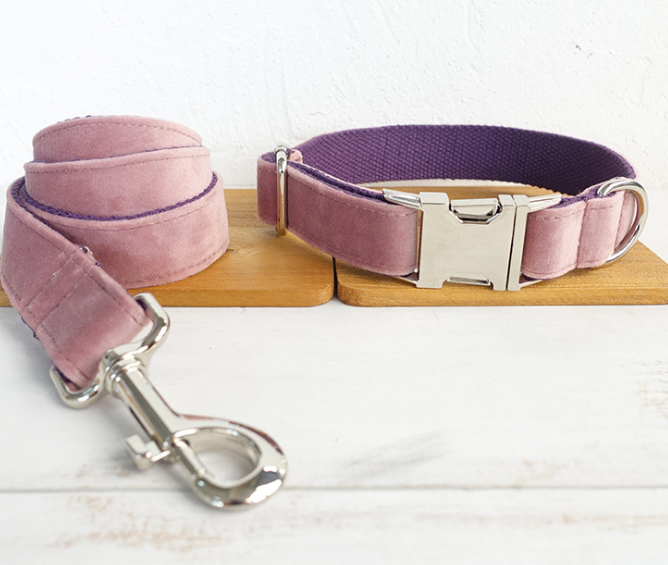 Halsband für Hund – 1–2 Grössen kleiner als EU/US – Bild 3 | LuxeStyle