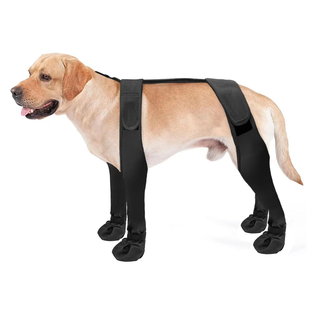 Hundeschuhe wasserdicht – Bild 8 | LuxeStyle