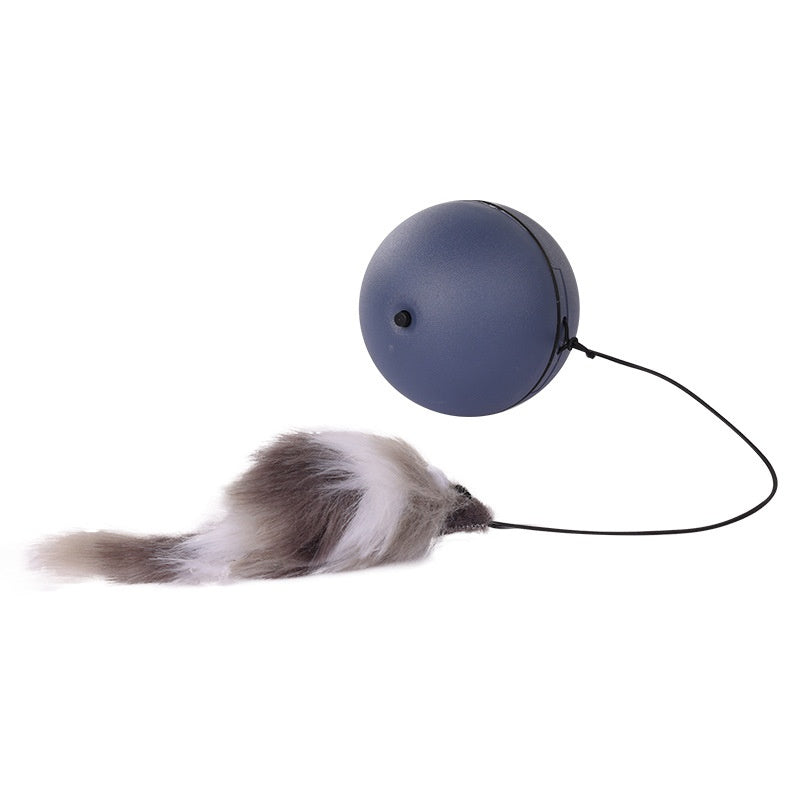 Maus Teaser Ball für Haustiere