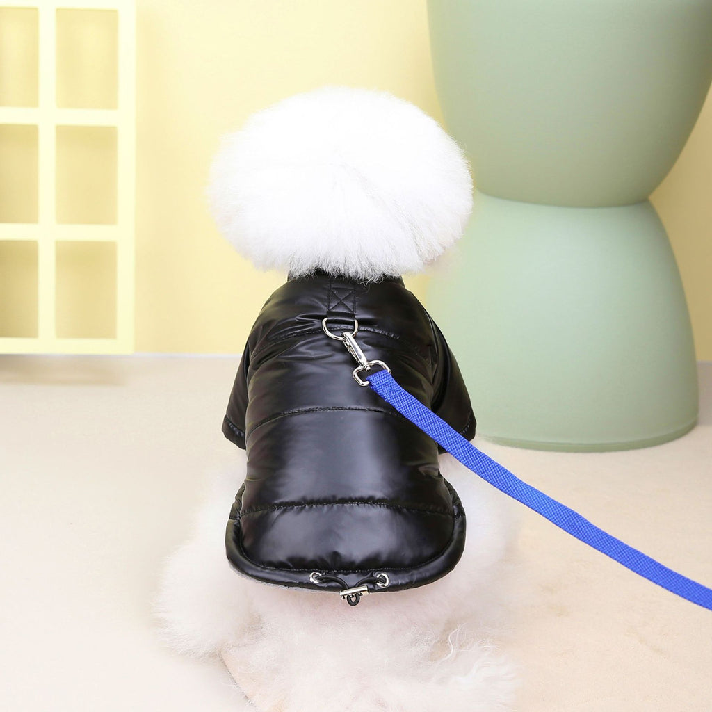Teddy Hundejacke wasserdicht