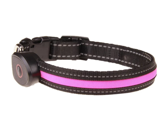 Hundeleuchthalsband