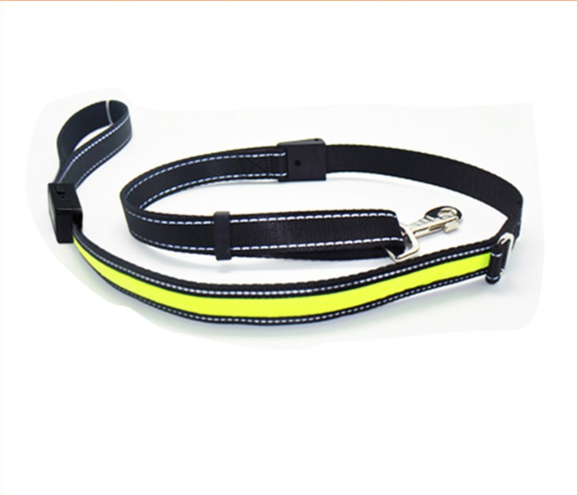 Leuchtendes Hundehalsband mit Solar- und USB-Ladefunktion – Bild 6 | LuxeStyle