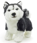 Plüsch Husky 22 cm