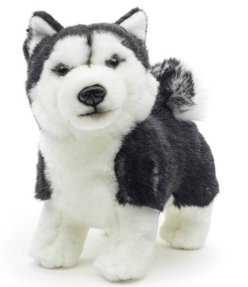 Plüsch Husky 22 cm – Bild 1 | LuxeStyle
