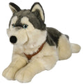 Plüsch Husky mit Geschirr 62 cm