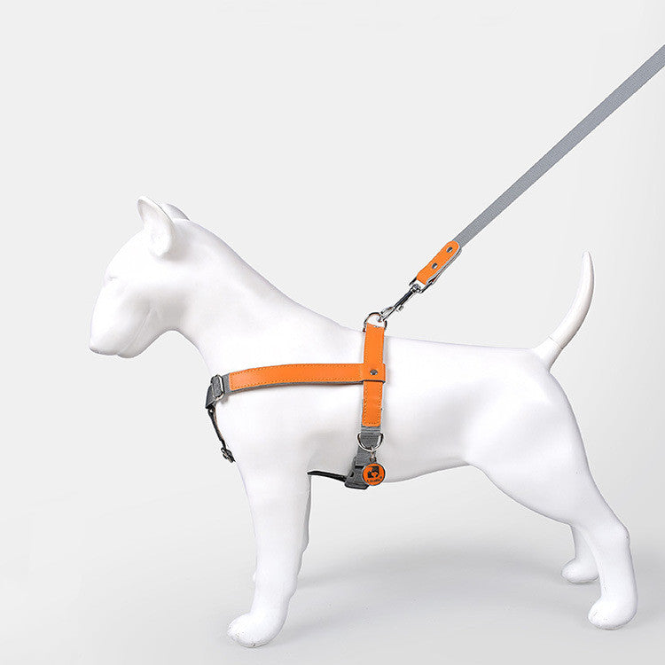 Hundegeschirr aus Leder mit Nylonleine – Bild 15 | LuxeStyle