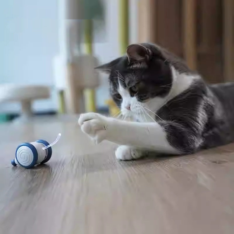 Maus-Spielzeug mit Beleuchtung für Katzen