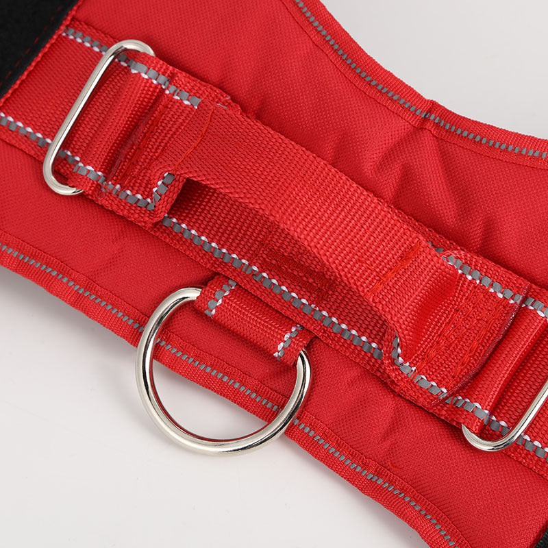 Hundegeschirr mit Anti-Zug-Funktion – Bild 2 | LuxeStyle
