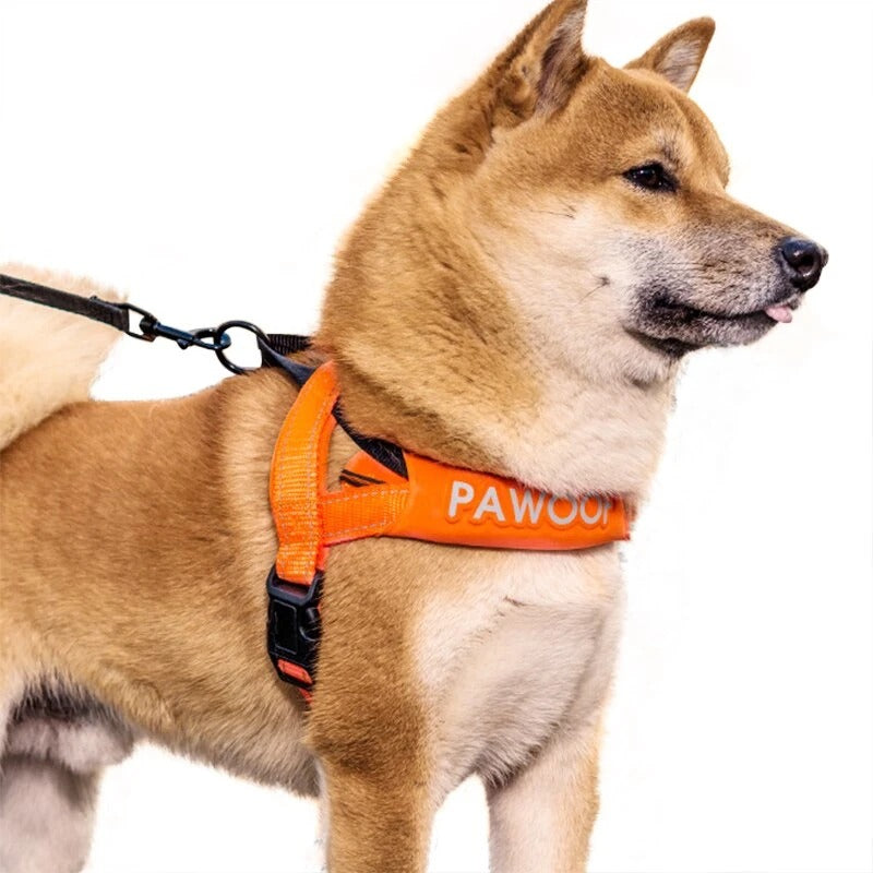 Hundegeschirr mit Brustgurt – orange – Bild 6 | LuxeStyle
