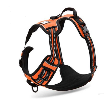 Verstellbares reflektierendes Nylon-Hundegeschirr – Bild 11 | LuxeStyle