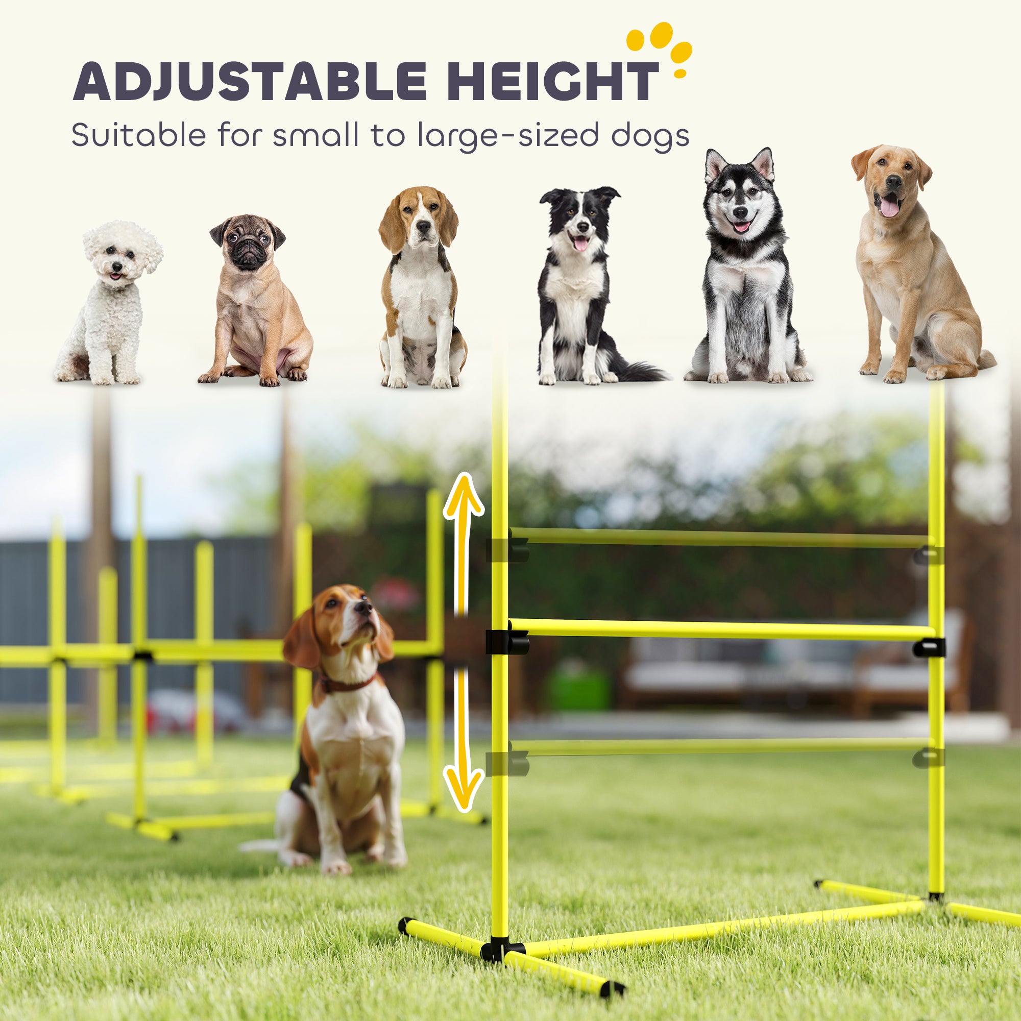 Hunde Agility Set, 4-teilig