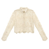 Farbe: Aprikose