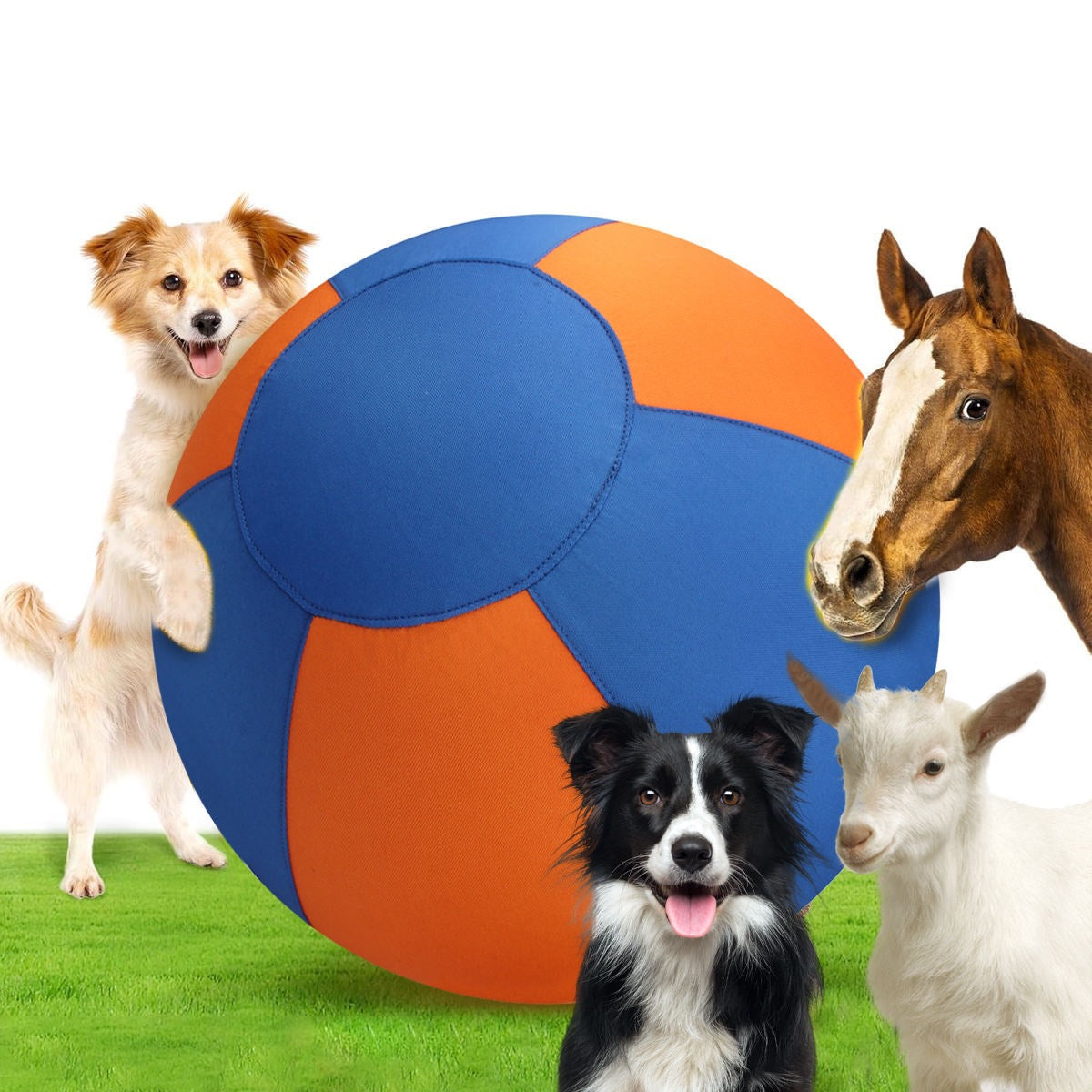 Aufblasbarer Wurfball für Hunde und Katzen