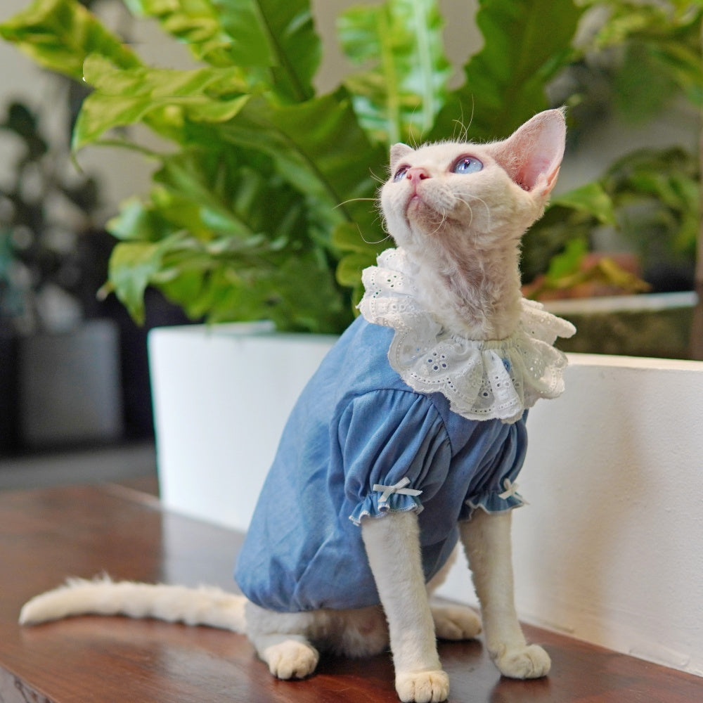 Sommerkleid für Sphynx-Katzen